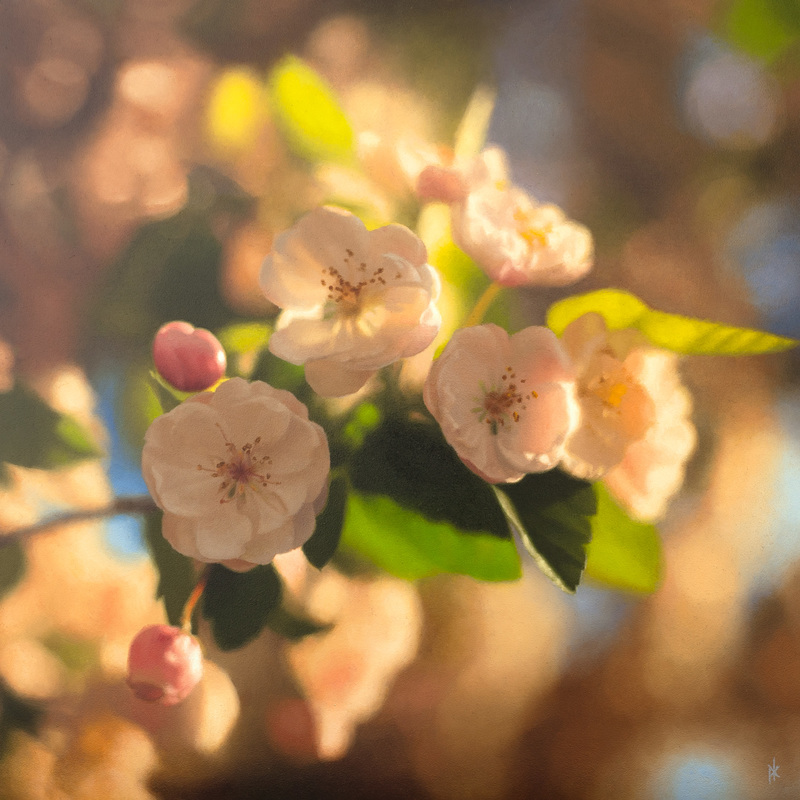 Spring Blossom - Patrick Kramer